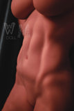 WM Dolls - Lucina 167cm/5ft6 F-cup TPE Sex Doll