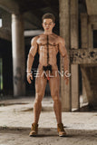 REALING - Gavin 180cm/5ft10 Male Silicone Sex Doll