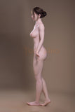 Sino Doll - Page 168cm/5ft6 D-cup Silicone  Sex Doll
